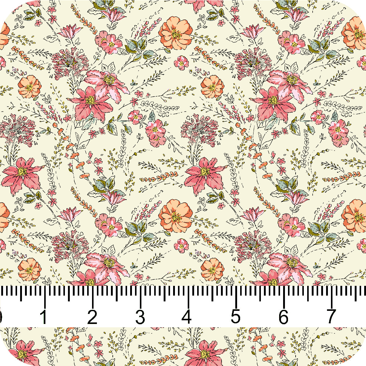 MYP222 C3 CREAM-BLUSH - MY Prints Inc.