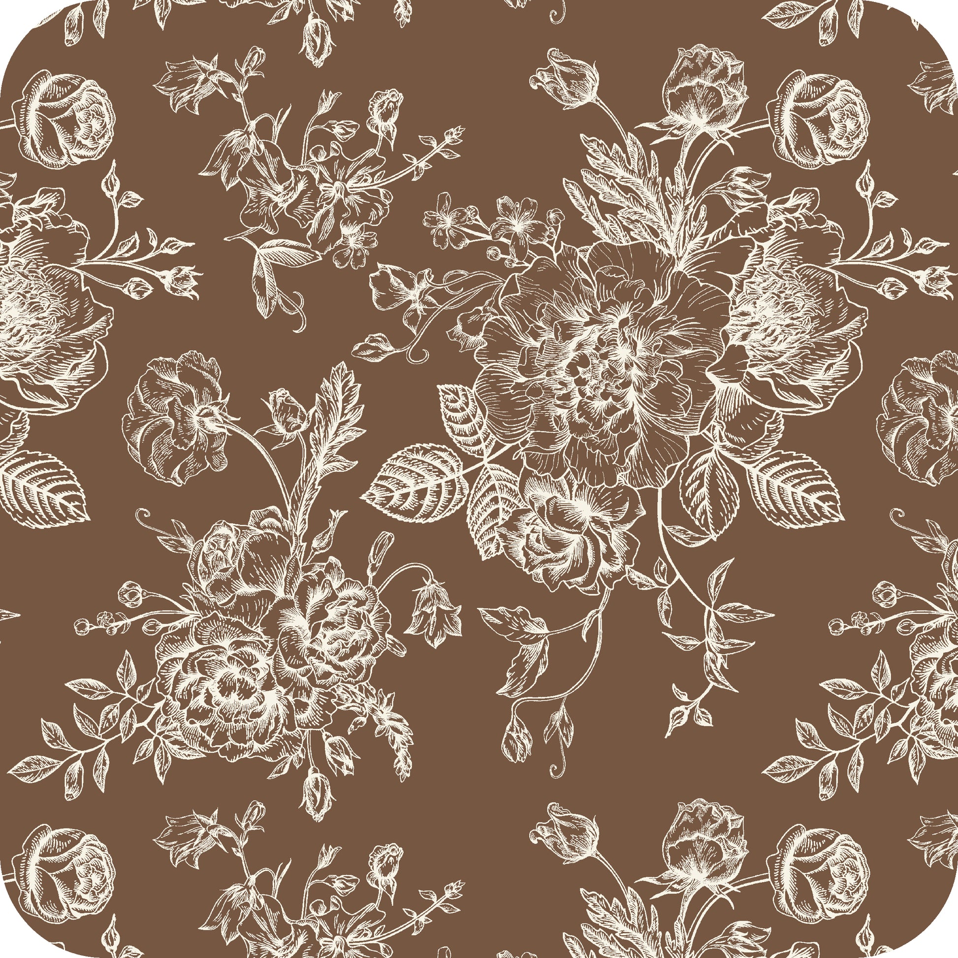 MYP226 C5 MOCHA-CREAM - MY Prints Inc.