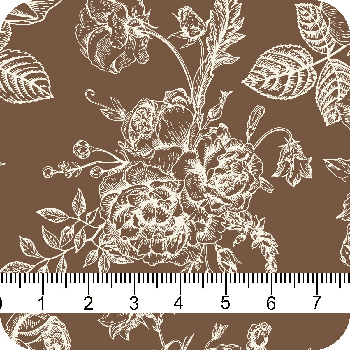 MYP226 C5 MOCHA-CREAM - MY Prints Inc.