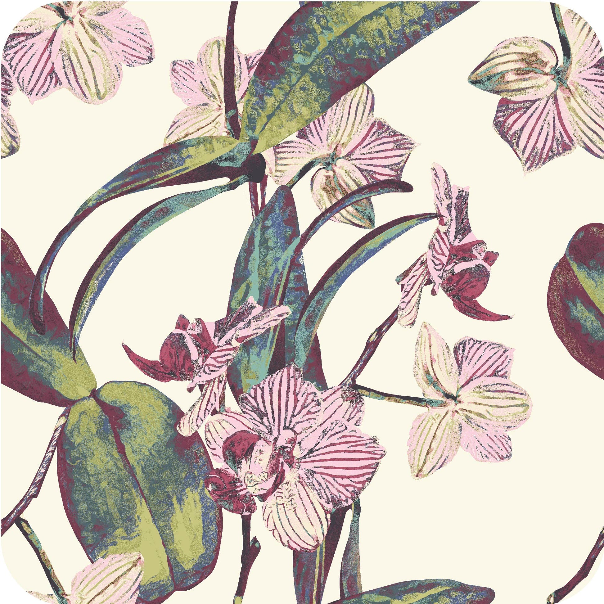 MYP381 C4 IVORY-PLUM - MY Prints Inc.