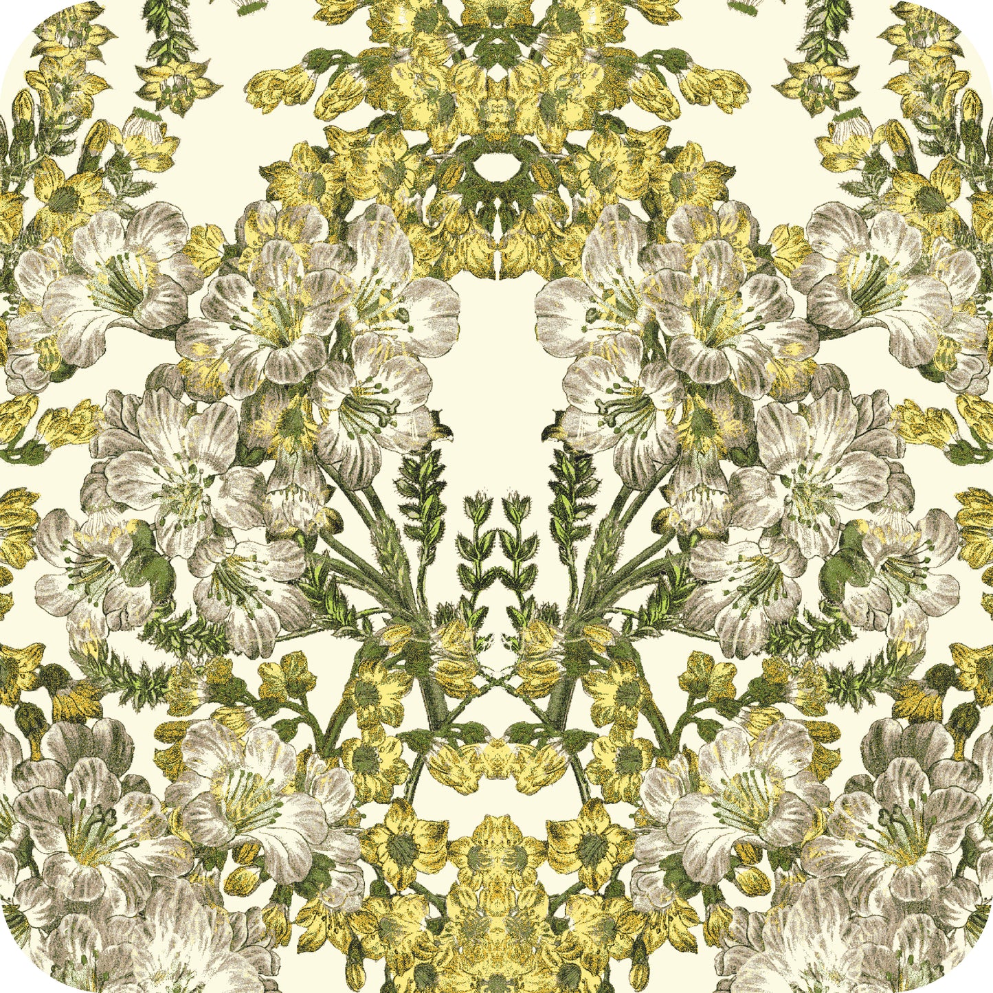 MYP412 C4 IVORY-LEMON - MY Prints Inc.