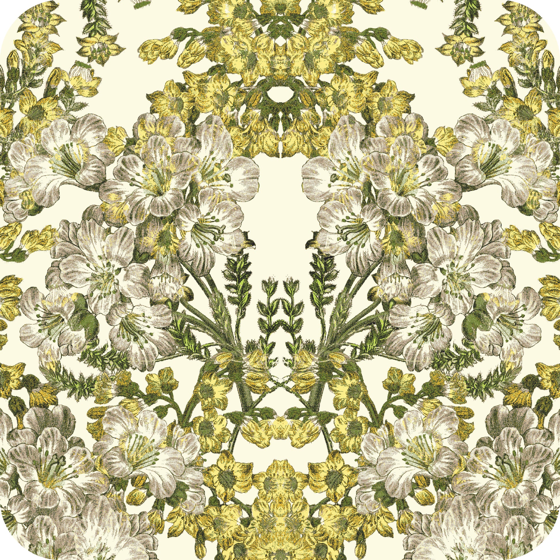 MYP412 C4 IVORY-LEMON - MY Prints Inc.