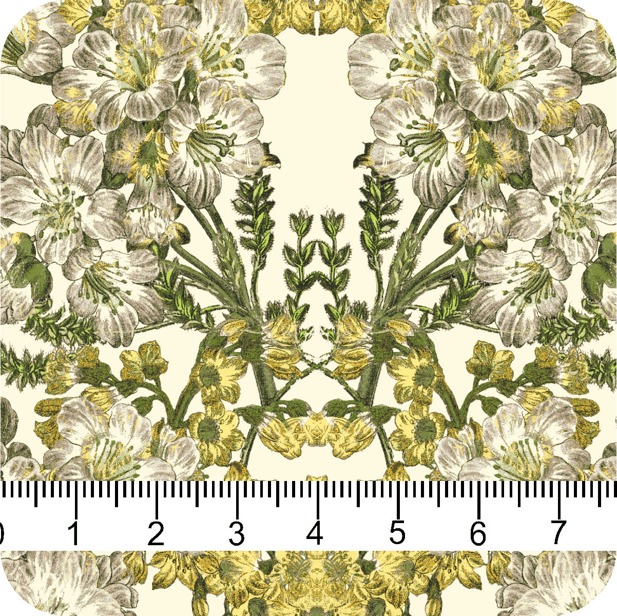 MYP412 C4 IVORY-LEMON - MY Prints Inc.