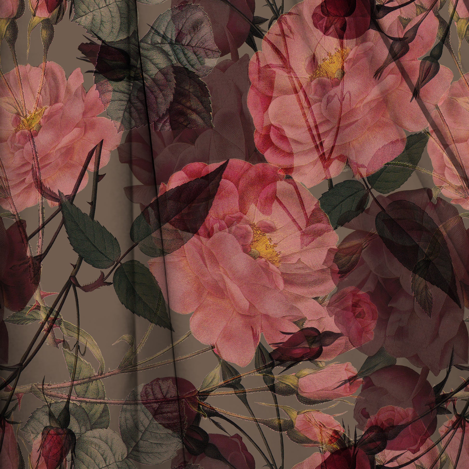 MYP414 C1 MOCHA-CORAL - MY Prints Inc.