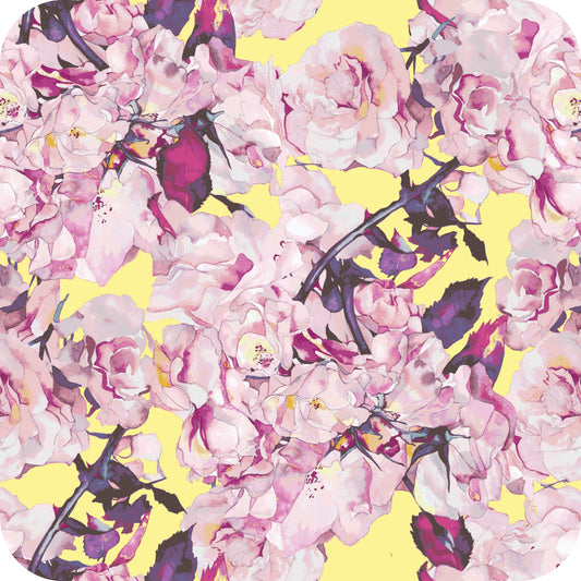 MYP428 C2 SUNSHINE-BLUSH - MY Prints Inc.