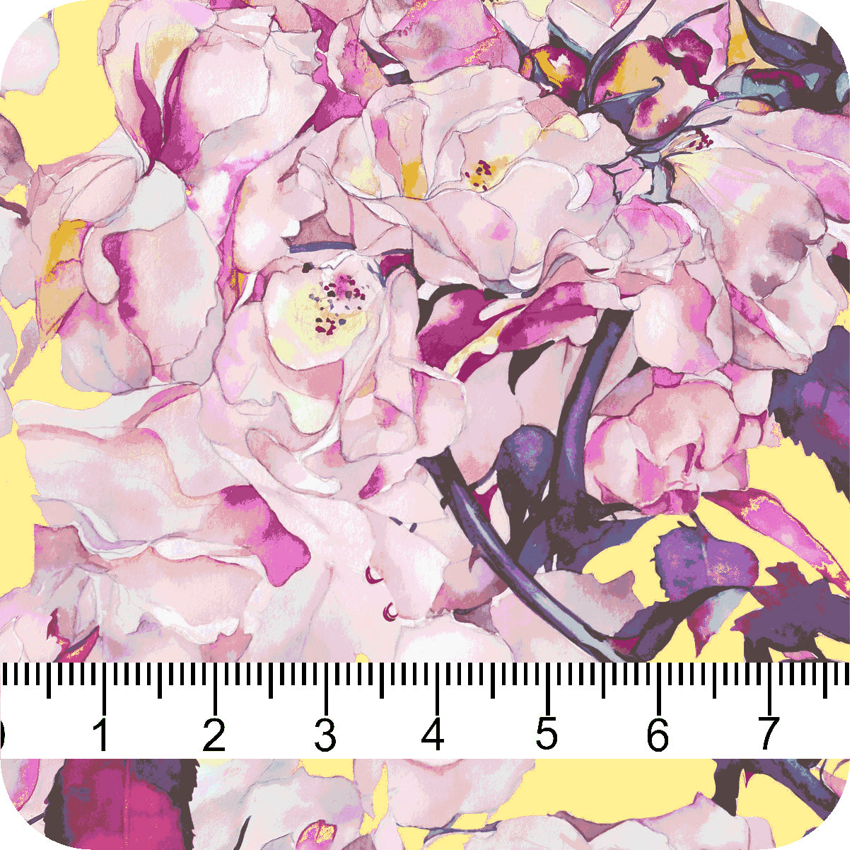 MYP428 C2 SUNSHINE-BLUSH - MY Prints Inc.