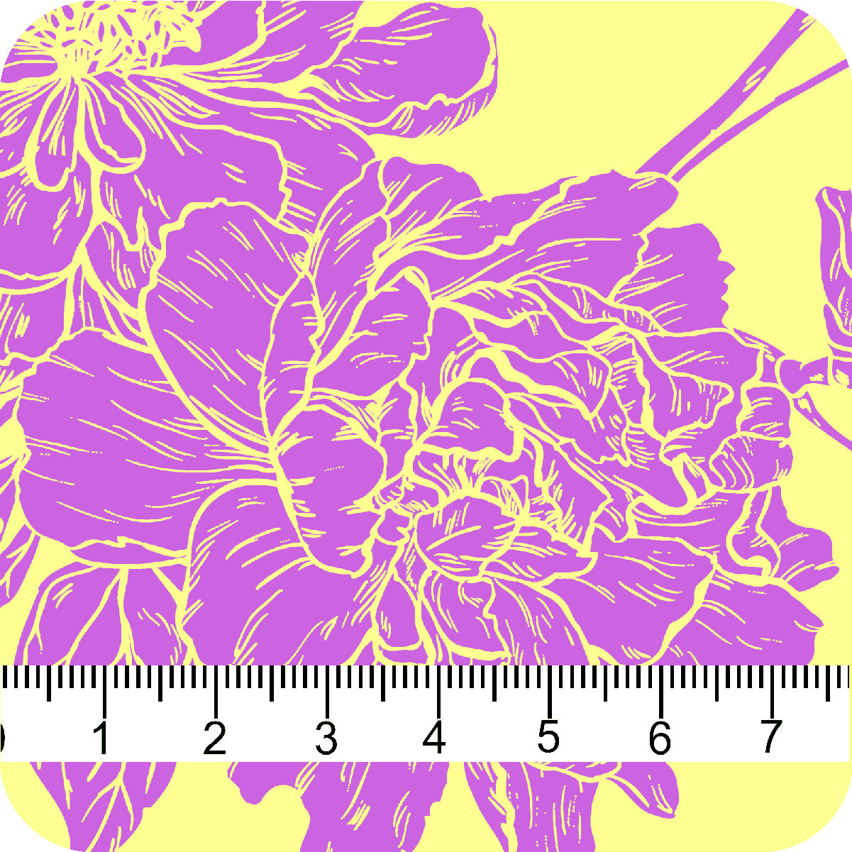 MYP440 C3 LEMON-LILAC - MY Prints Inc.