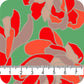 MYP636 C1 DK SAGE-RED
